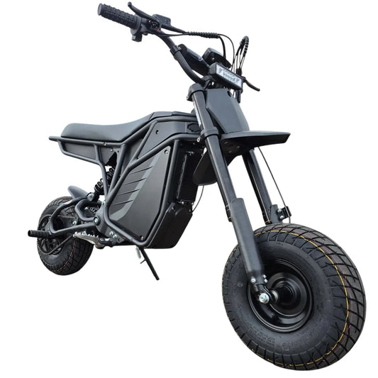 Electro & Co. The RIZZLER Bike